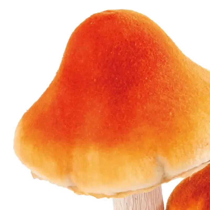 Køb Gruppe af svampe, kunstig svampe hos Brondsholm.dk