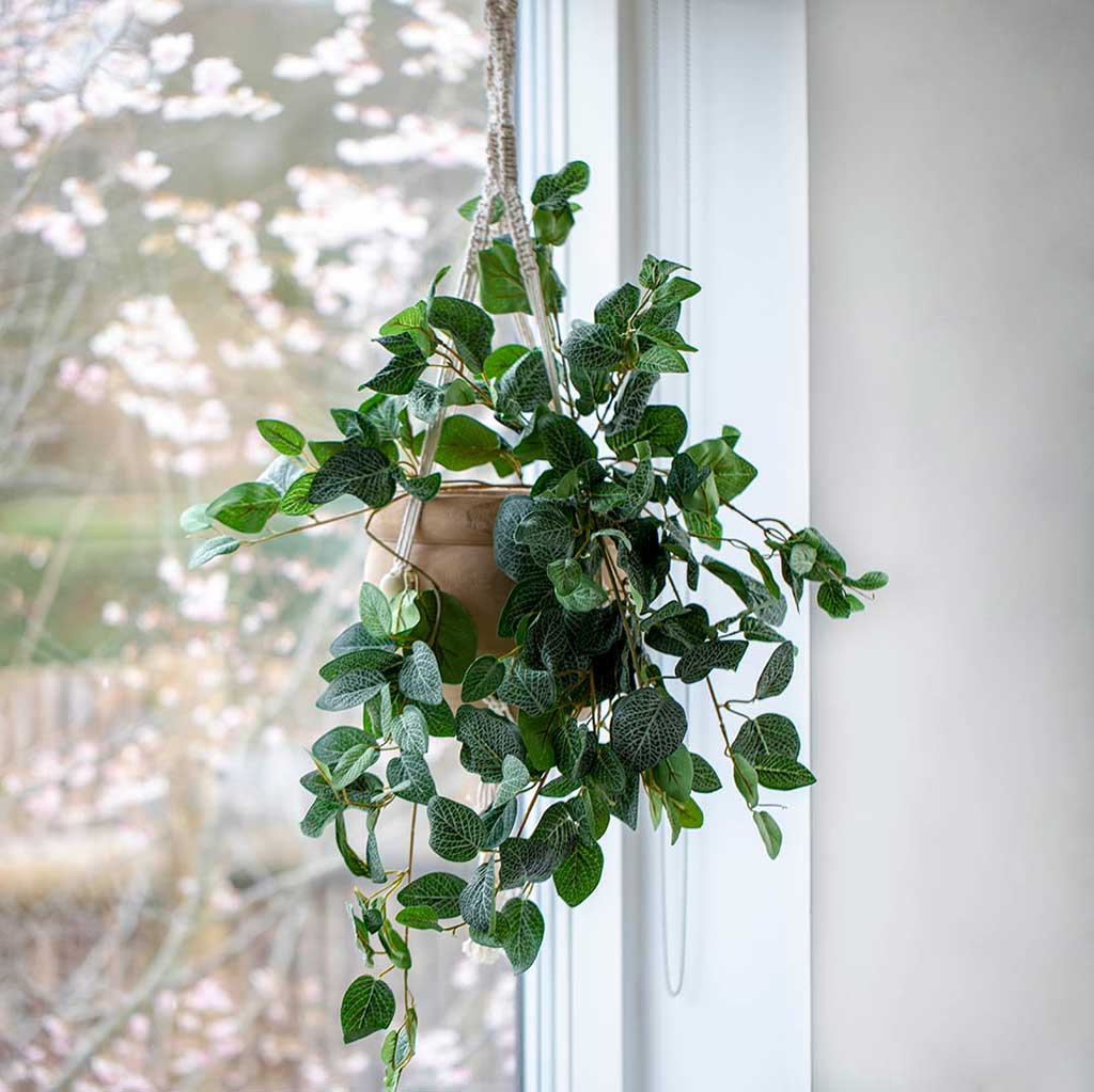 Køb Hænge krukke i kejsertræ m macrame snor hos Brondsholm.dk