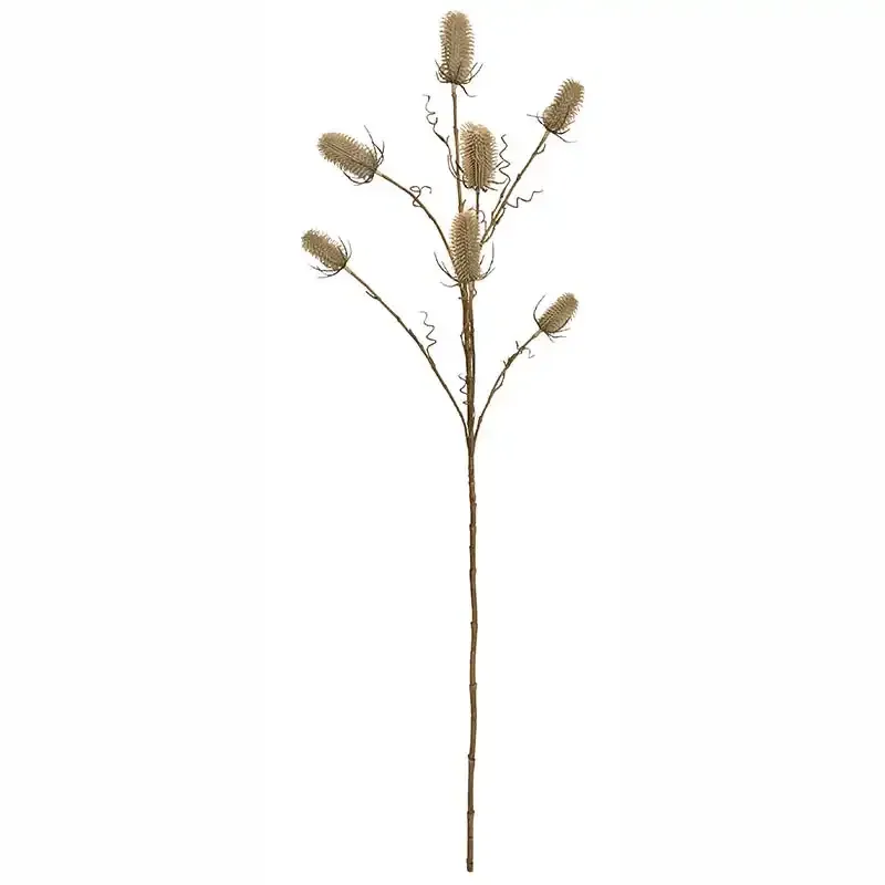 Køb Kartebolle - Dipsacus sativus, beige, 105cm, kunstig plante hos Brondsholm.dk
