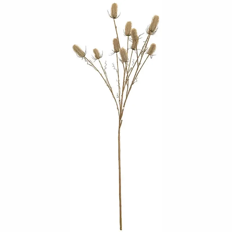 Køb Kartebolle - Dipsacus sativus, beige,150cm, kunstig plante hos Brondsholm.dk