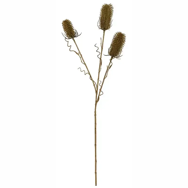 Køb Kartebolle - Dipsacus sativus, grøn, 70cm, kunstig plante hos Brondsholm.dk