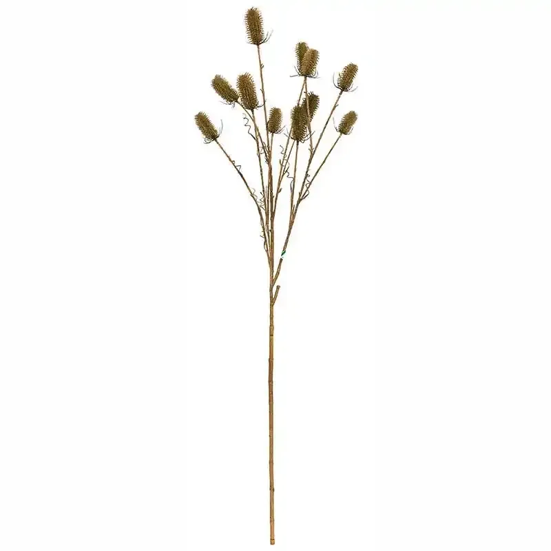 Køb Kartebolle - Dipsacus sativus, grøn,150cm, kunstig plante hos Brondsholm.dk