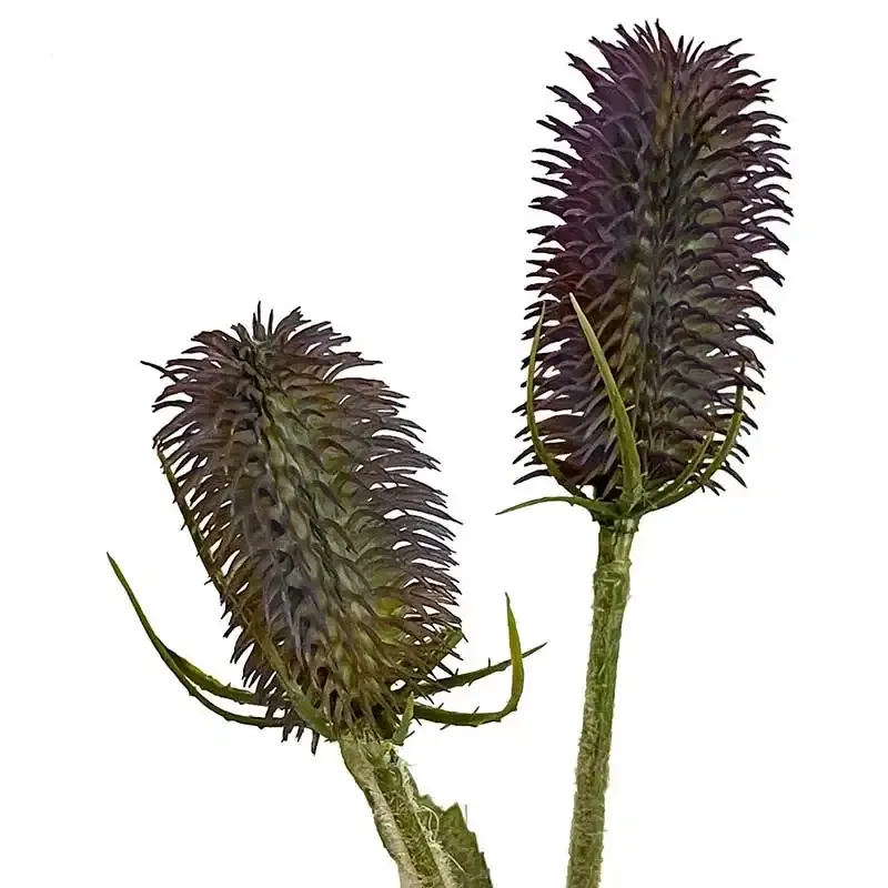 Køb Kartebolle stilk, 90cm, lilla, kunstig gren hos Brondsholm.dk