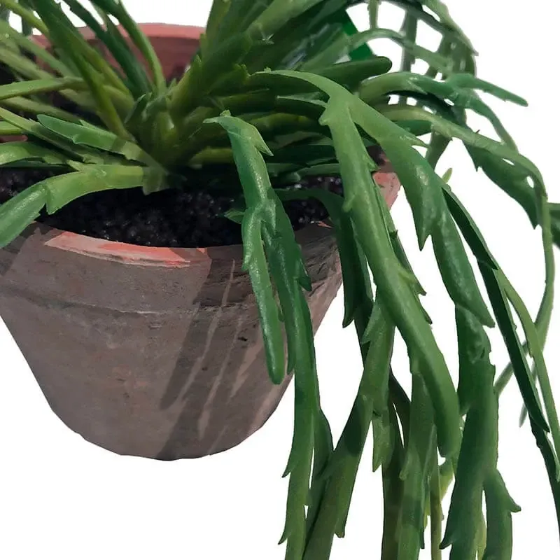 Køb Mistelten Kaktus i antik krukke,tykke blade, kunstig plante hos Brondsholm.dk