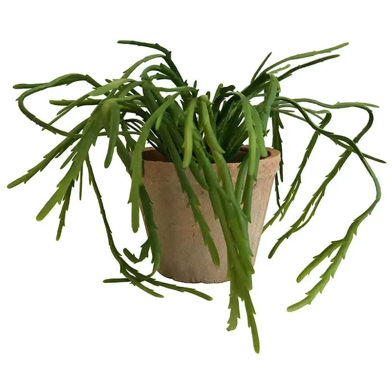 Køb Mistelten Kaktus i antik krukke,tykke blade, kunstig plante hos Brondsholm.dk