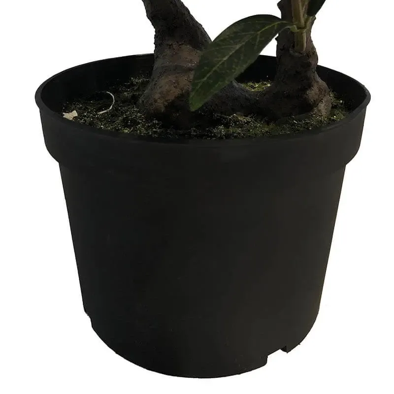 Køb Oliventræ,2 stammer 60cm i sort potte, kunstig plante hos Brondsholm.dk