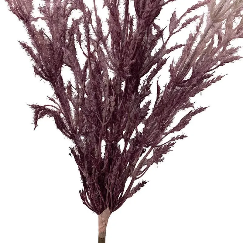 Køb Pampasgræs i lilla, 99cm, kunstig græs hos Brondsholm.dk