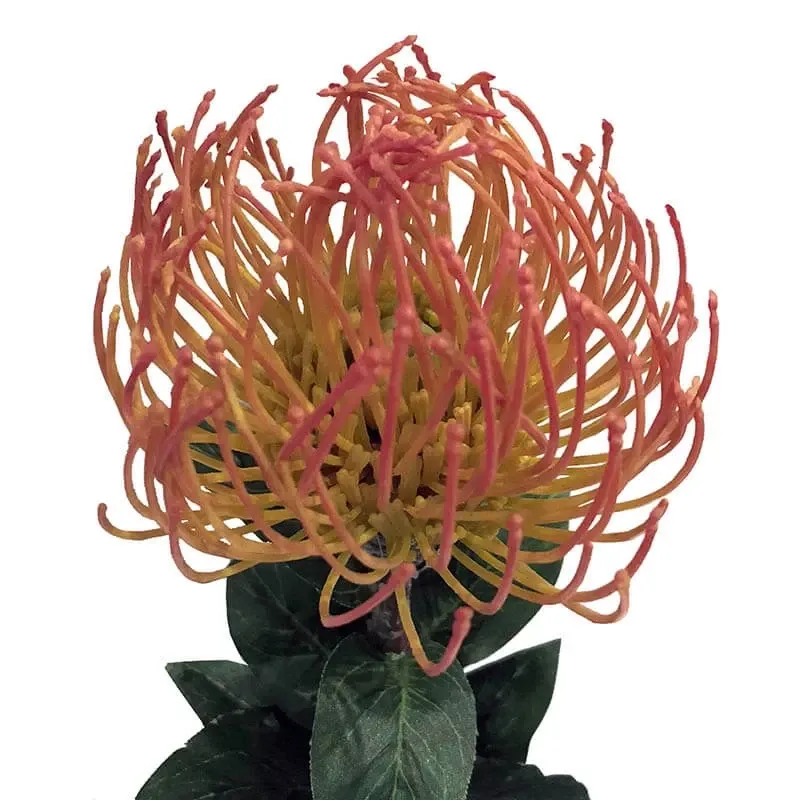 Køb Protea blomst, 74cm Gul/Orange, Kunstig blomst hos Brondsholm.dk