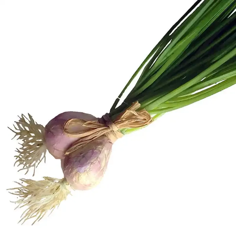 Køb Purløg bundt med løg 35cm, kunstig mad hos Brondsholm.dk