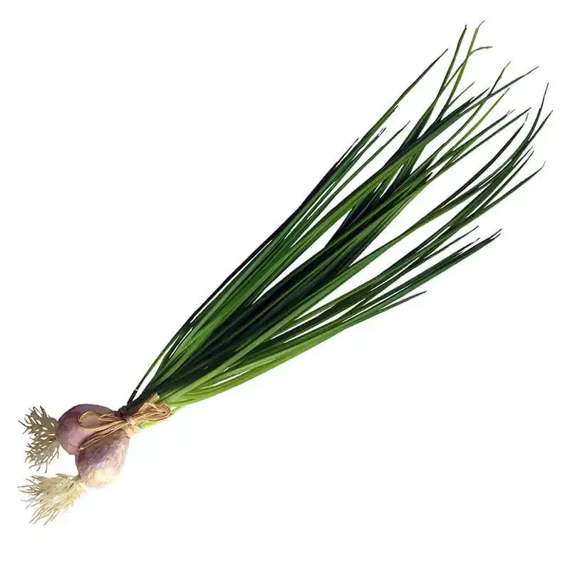 Køb Purløg bundt med løg 35cm, kunstig mad hos Brondsholm.dk