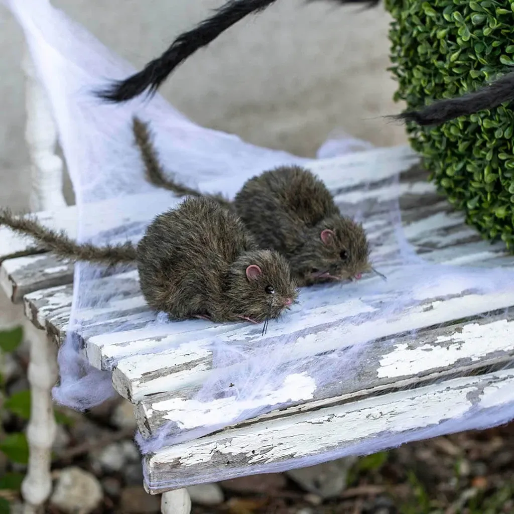 Køb Rotte hos Brondsholm.dk
