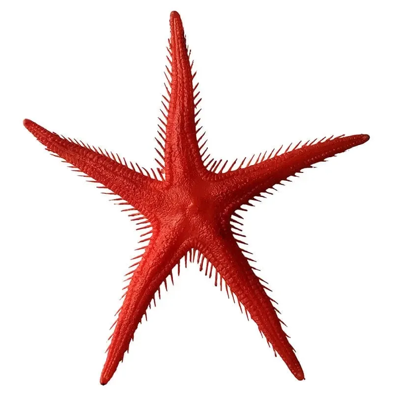 Køb Søstjerne hos Brondsholm.dk