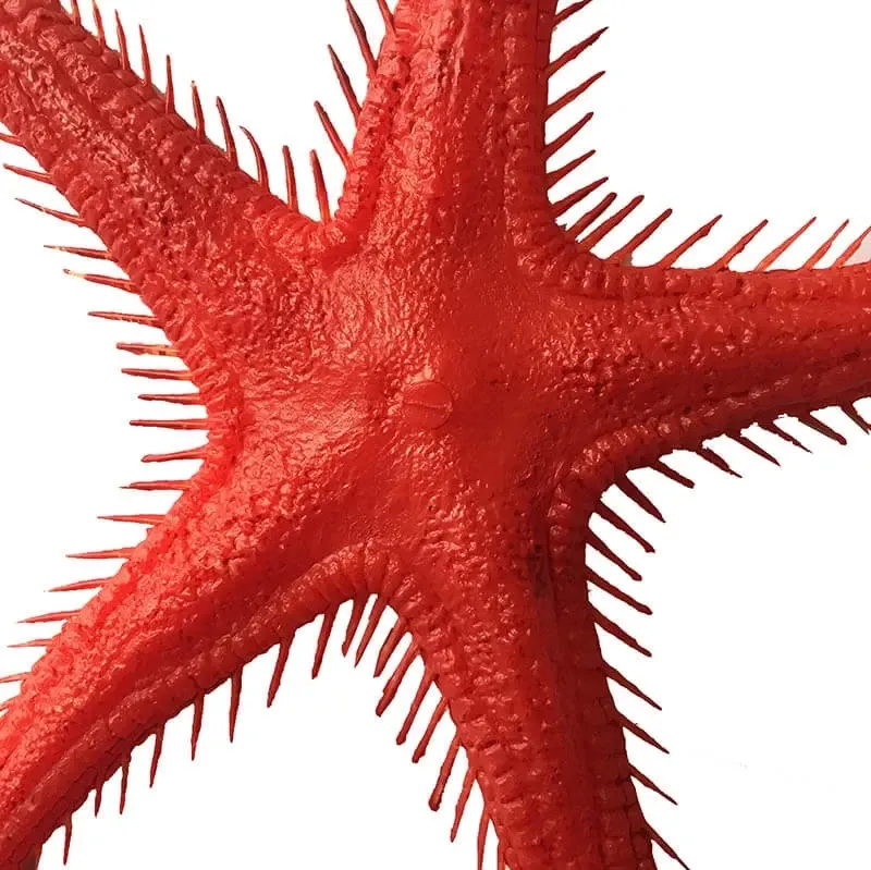 Køb Søstjerne hos Brondsholm.dk