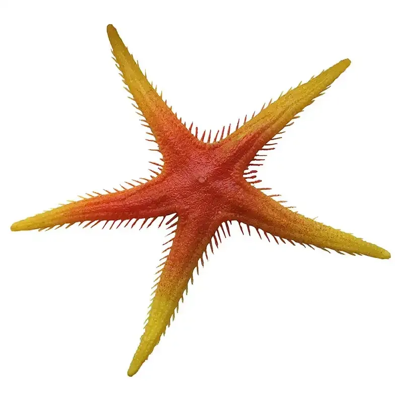 Køb Søstjerne hos Brondsholm.dk