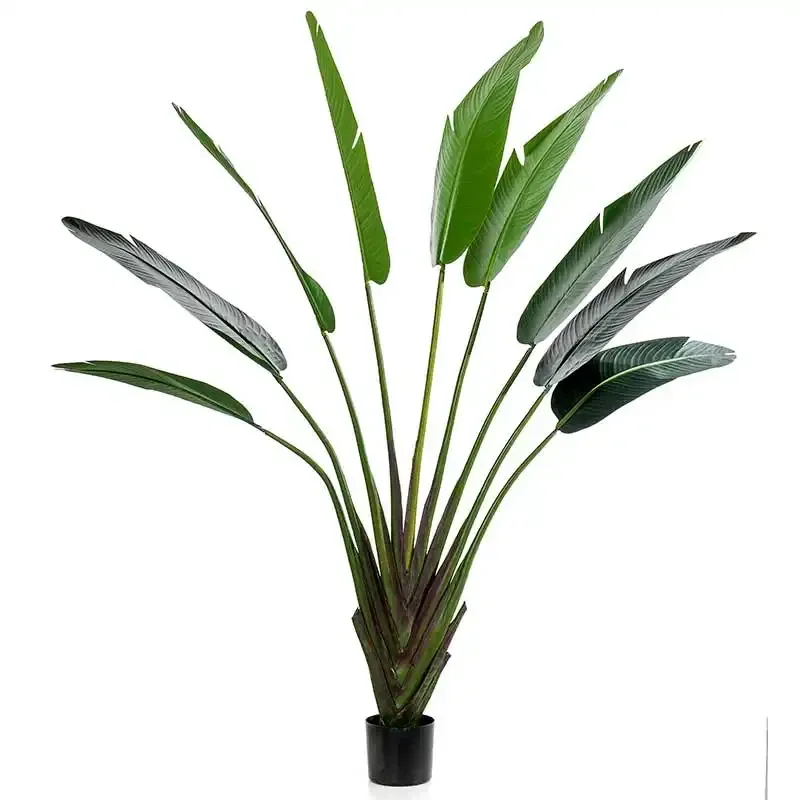 Køb Strelitzia i potte, vifte gren, 180cm, kunstig plante hos Brondsholm.dk