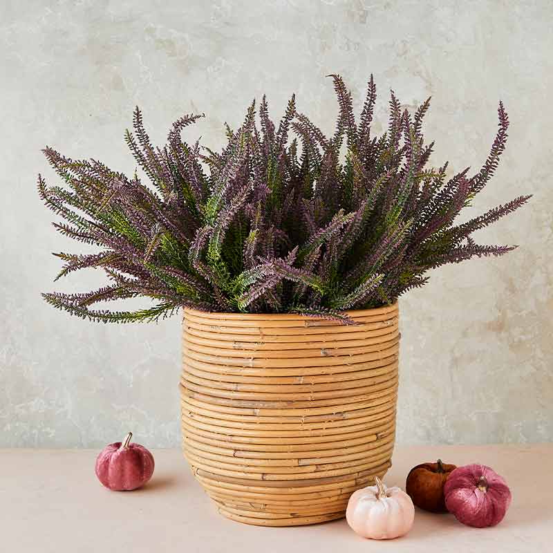 Køb Stuelyng på stilk, 59cm, kunstig plante