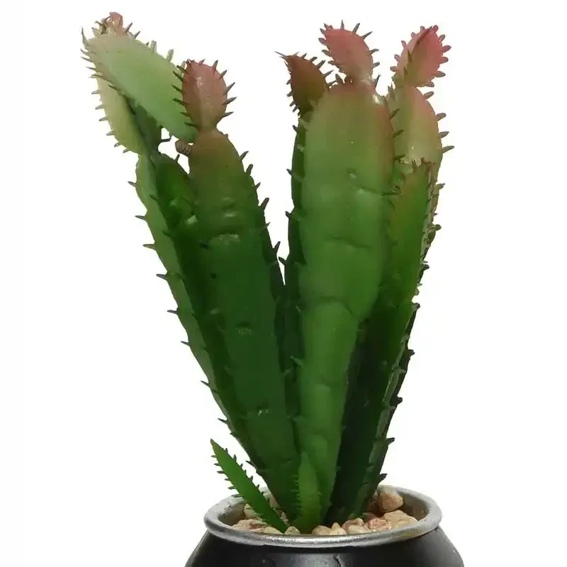 Køb Sukkulent / Kaktus i dåse, kunstig plante hos Brondsholm.dk