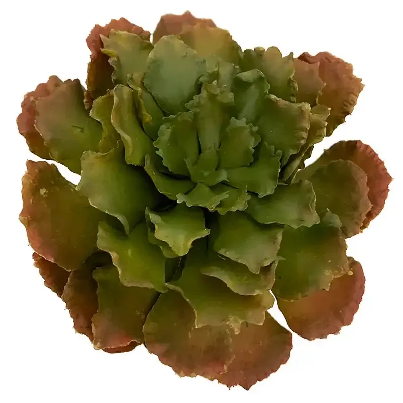 Køb Sukkulent på stilk, 17cm, kunstig sukkulent hos Brondsholm.dk