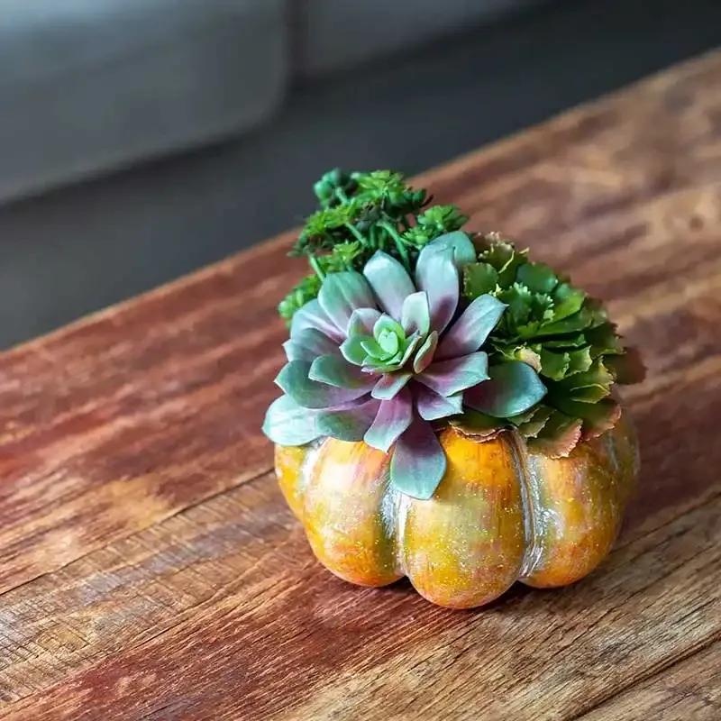 Køb Sukkulent på stilk, 17cm, kunstig sukkulent hos Brondsholm.dk