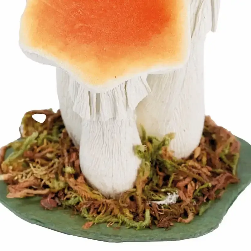 Køb Svampe/ Kantareller, kunstig svampe hos Brondsholm.dk