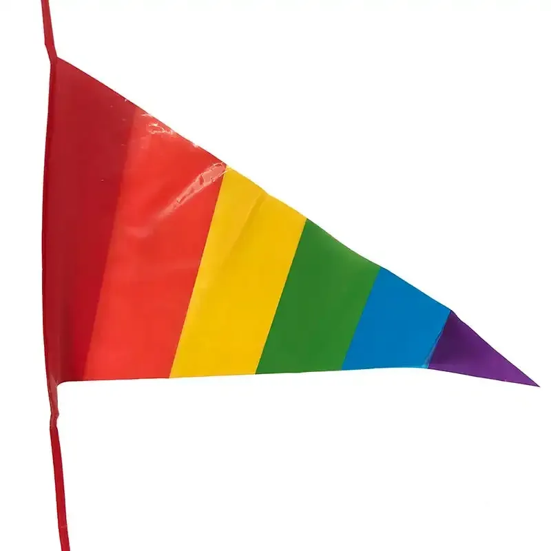Køb Vimpelranke, pride, 8m, 14 flag hos Brondsholm.dk