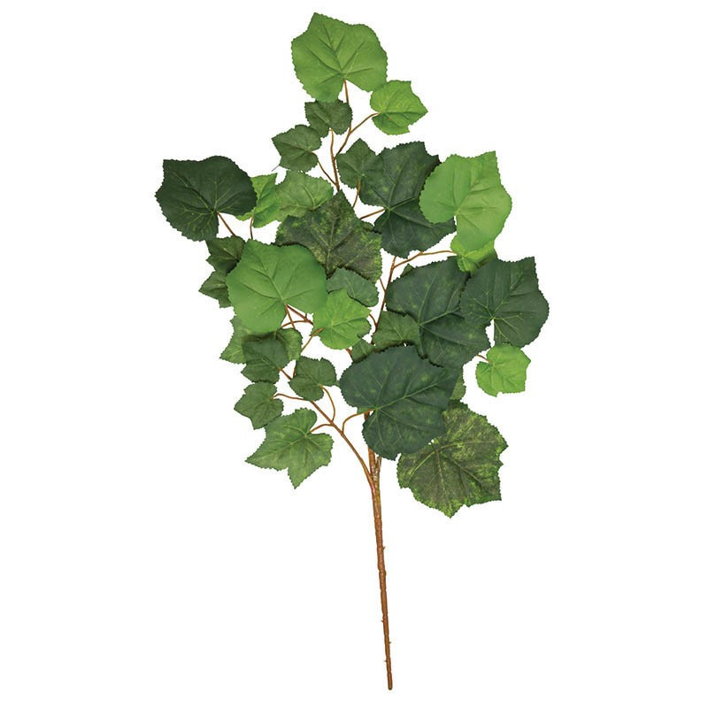 Køb Vindruegren hos Brondsholm.dk