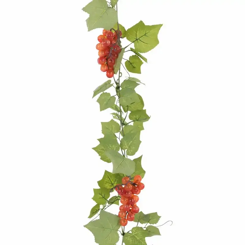 Køb Vindrueranke med 6-klaser hos Brondsholm.dk