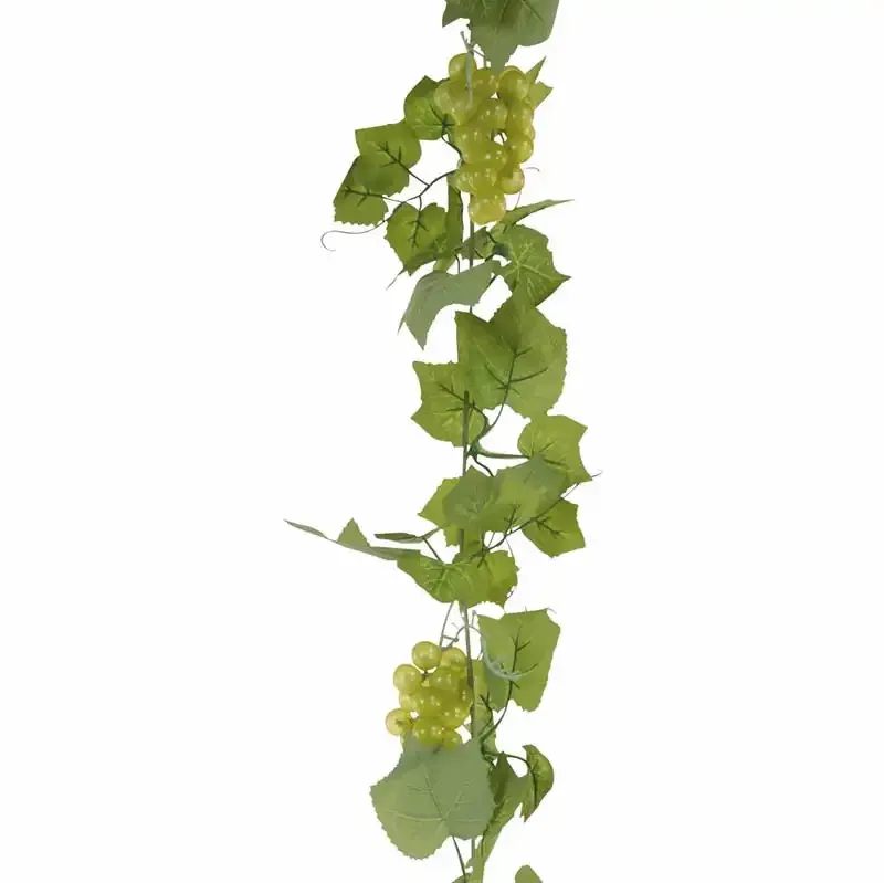 Køb Vindrueranke med 6-klaser hos Brondsholm.dk