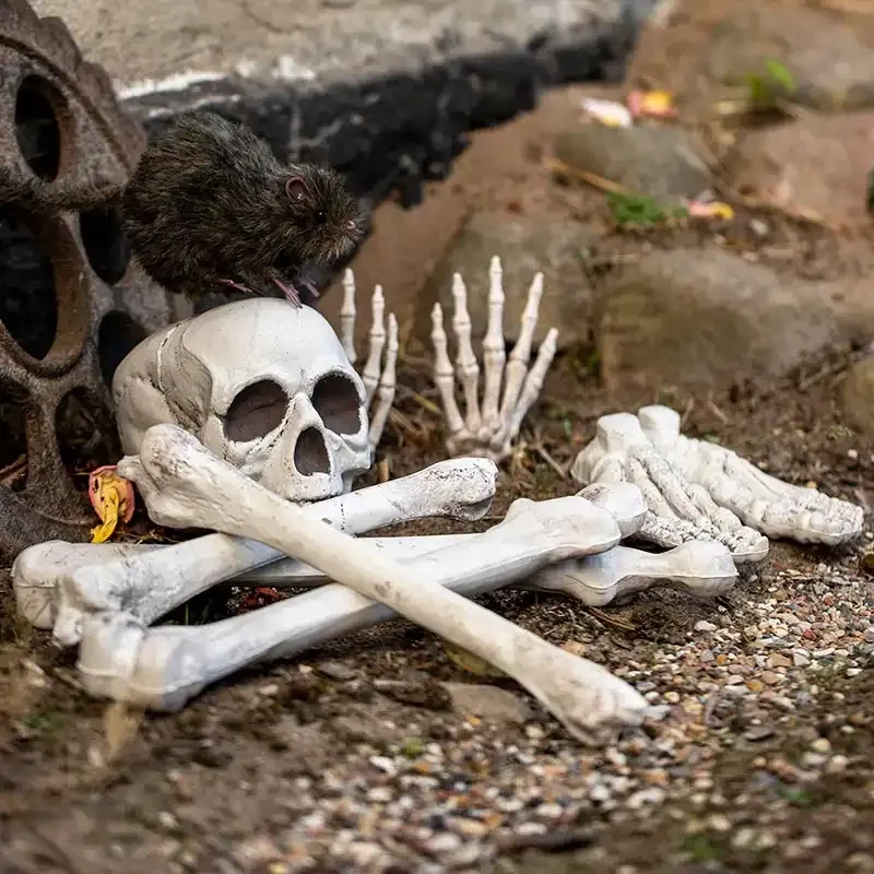 Knogler, sæt med 12 knogler, Halloween eller sørøvertema