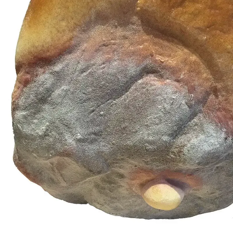 Kunstig parmaskinke i plast - kunstige fødevarer til dekorat