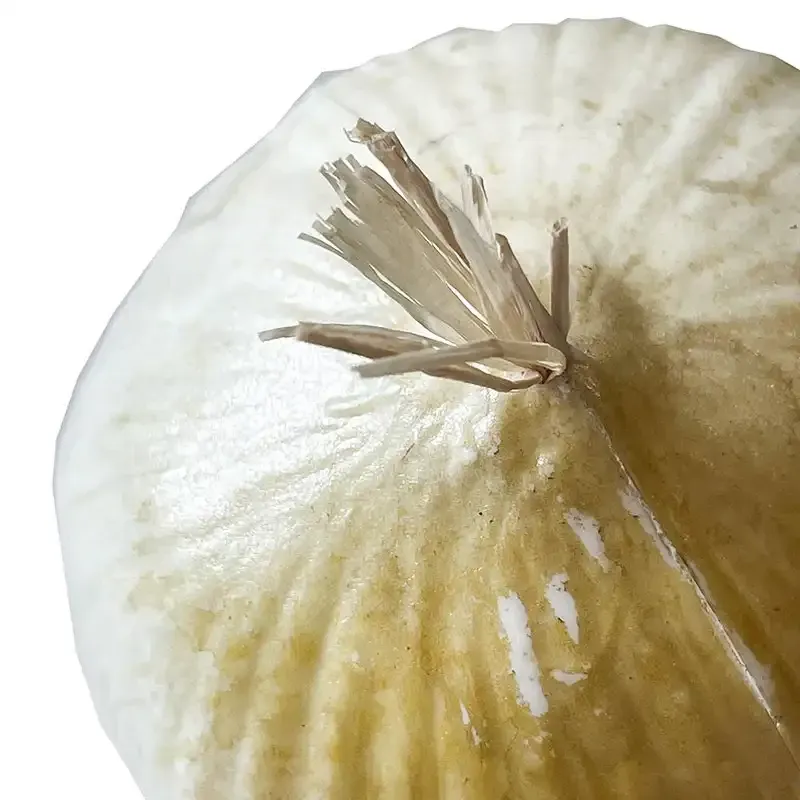 Løg, hvidt, kunstig frugt og grønt - fra Brøndsholm