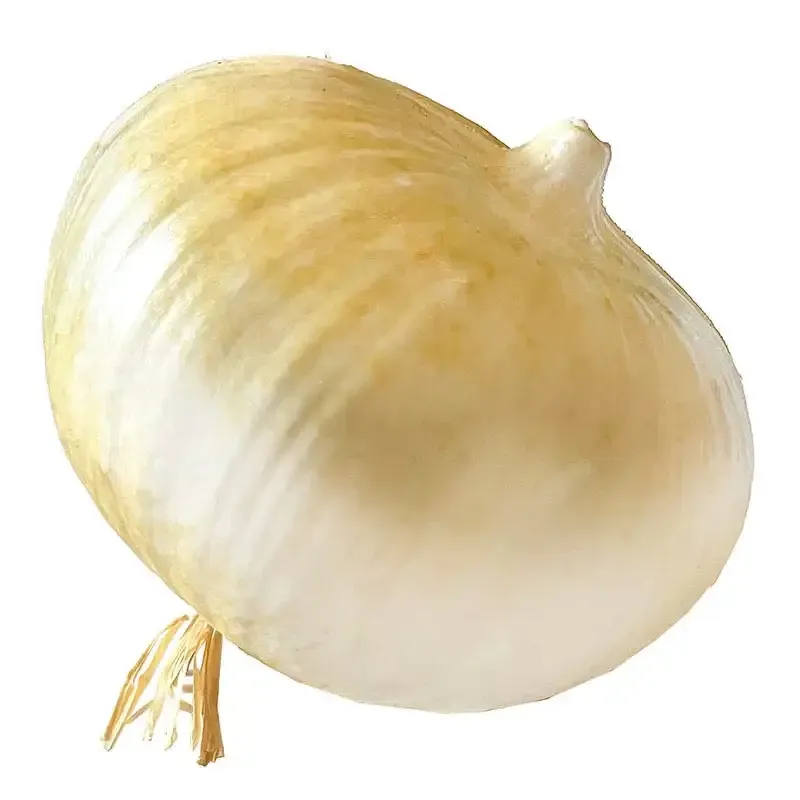 Løg, hvidt, kunstig frugt og grønt - fra Brøndsholm