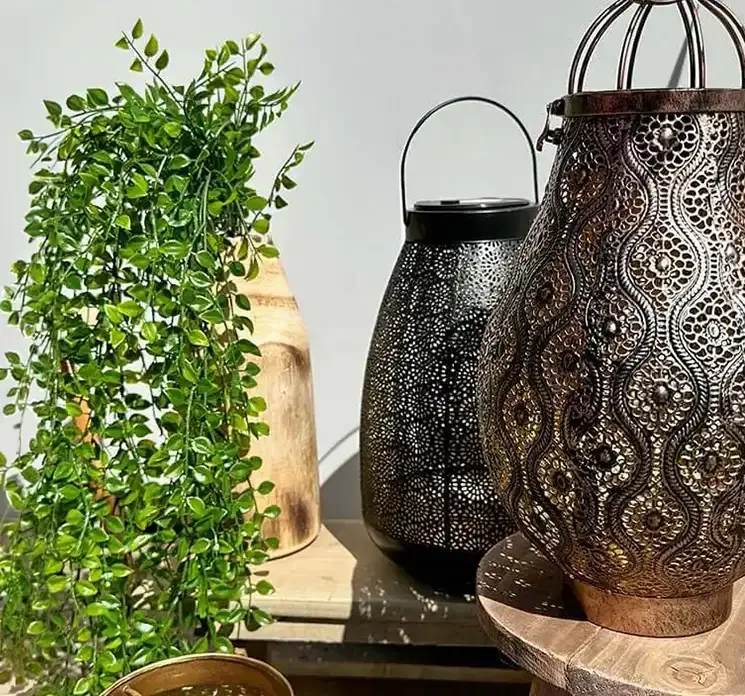 Kunstig hængefigen plante af plast vist i miljø