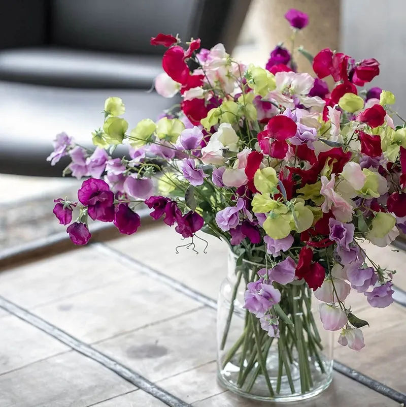Lys lilla ærteblomst, kunstige blomster til butikker