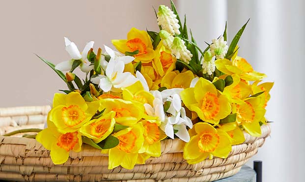 Brøndsholm - forårsblomster