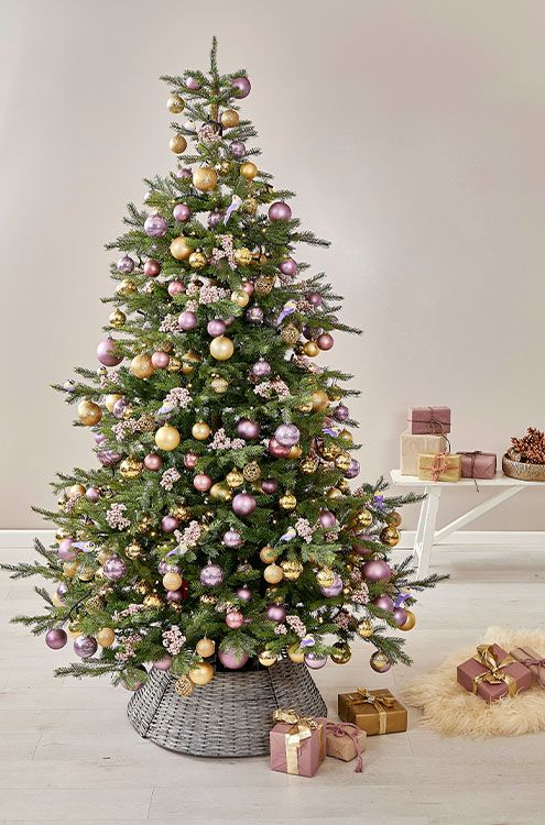 Brøndsholm - Grønne juletræer