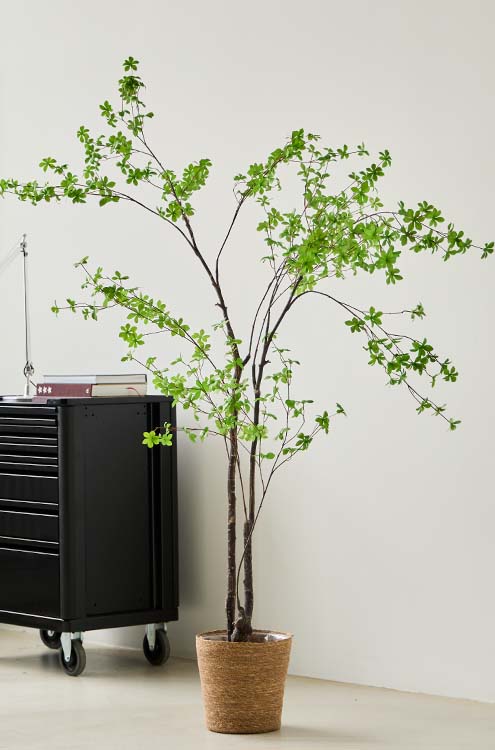 Brøndsholm - Kunstige planter og træer