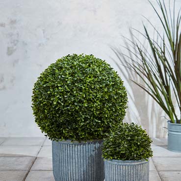 Brøndsholm - uv beskyttede planter