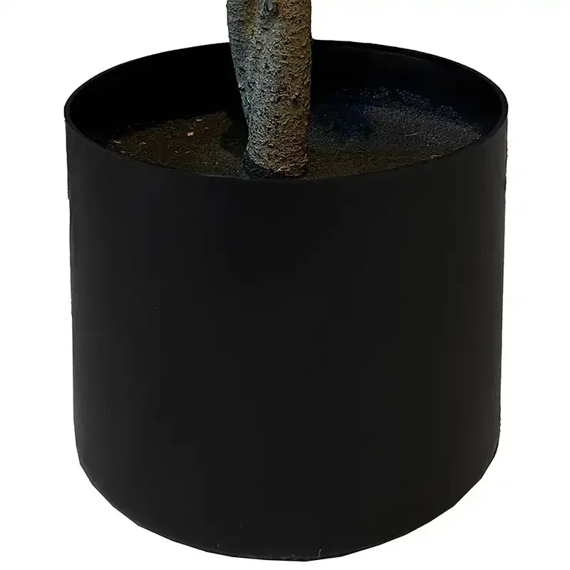 Naturtro Oliventræ i potte, 90cm, 12 bær, 13 grene