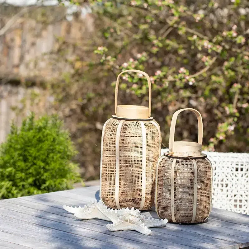 Sjöstjärnor med knoppar, 16 st, 10-20 cm, äkta