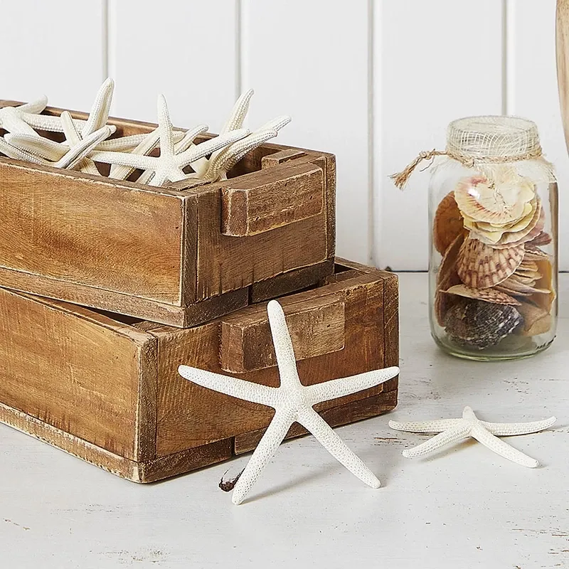 Sjöstjärnor, 12st, 10-15cm, äkta skal I Köp