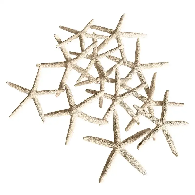 Sjöstjärnor, 12st, 10-15cm, äkta skal I Köp