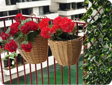 Pelargonie blomster af plast i røde uv-beskyttet vist i altankasser på altan