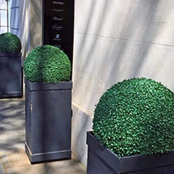 Kunstig buksbom i potter udenfor en butik