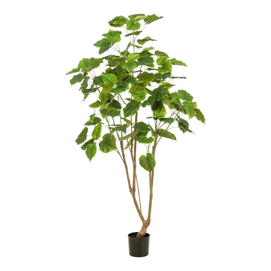 Afrikansk figen, Ficus umbellata, 180cm, kunstig plante - Brøndsholm