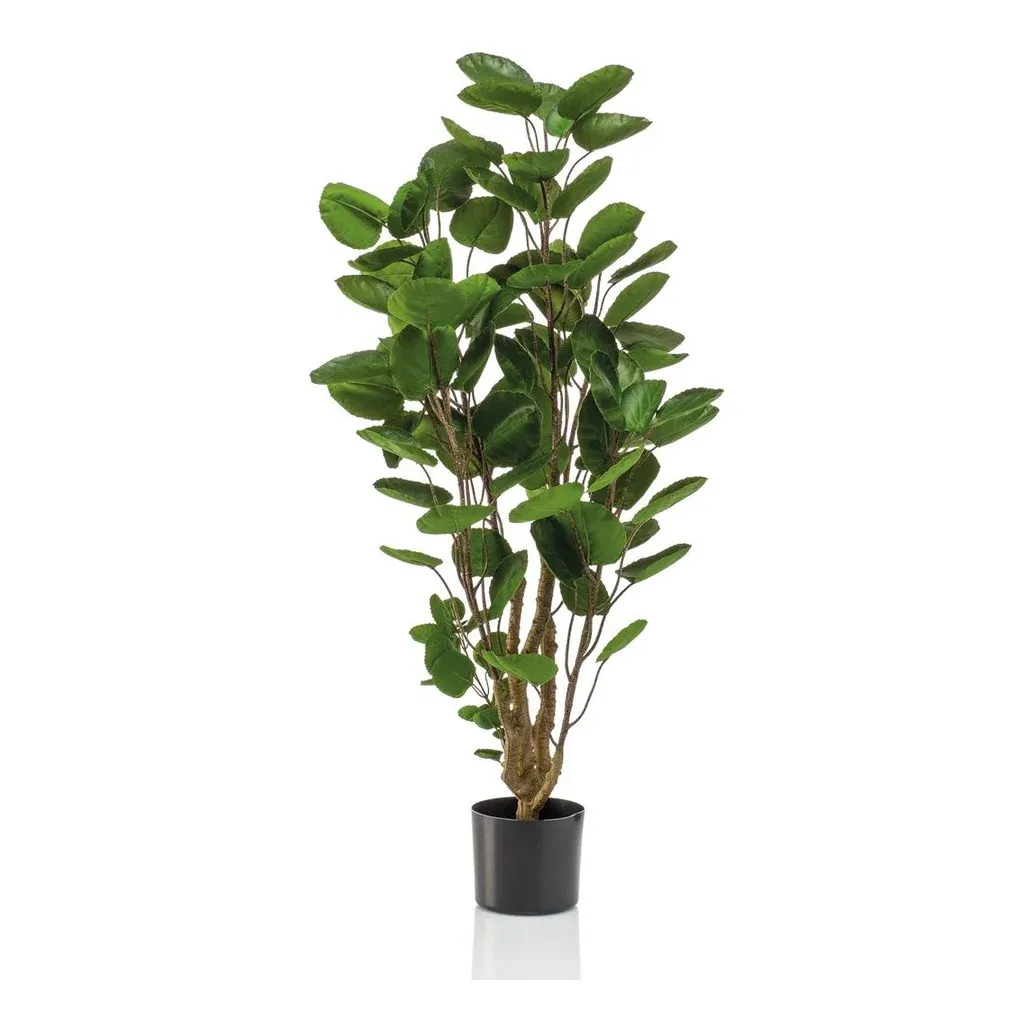 Aralia i potte, 105cm, grøn - kunstig plante – Brøndsholm