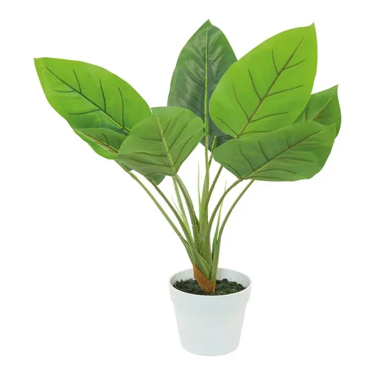 Aureum i potte, 65cm, kunstig plante – Brøndsholm