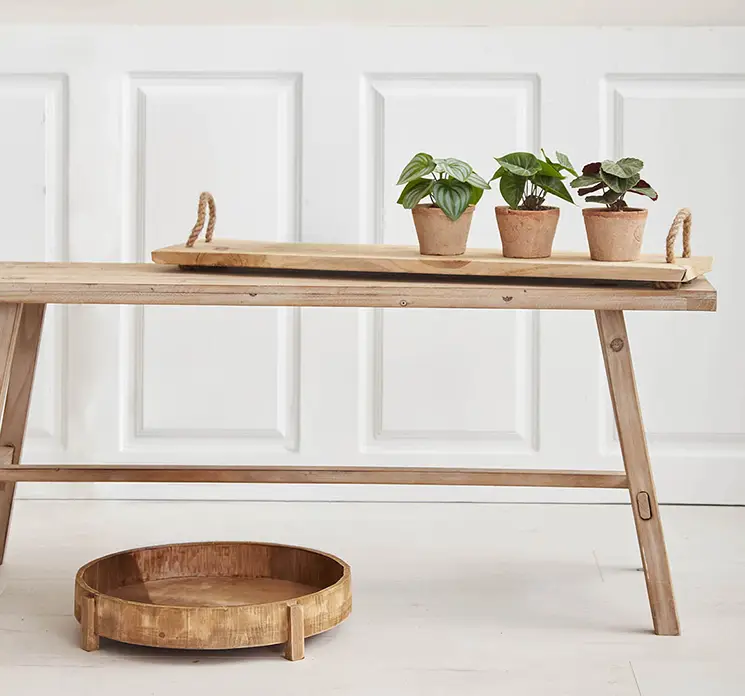 Bakke i teaktræ med håndtag af reb i naturfarvet vist på træbænk med kunstige planter i stuemiljø
