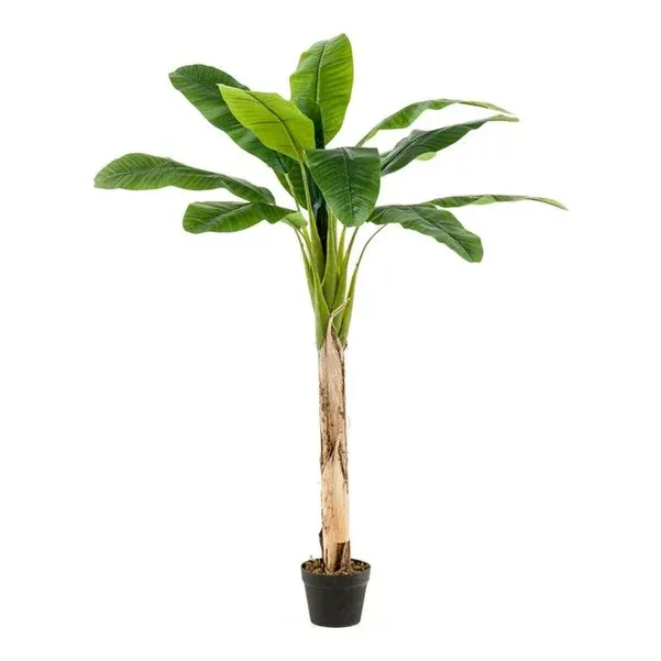 Bananpalme i potte, 150cm, grøn - kunstig plante – Brøndsholm