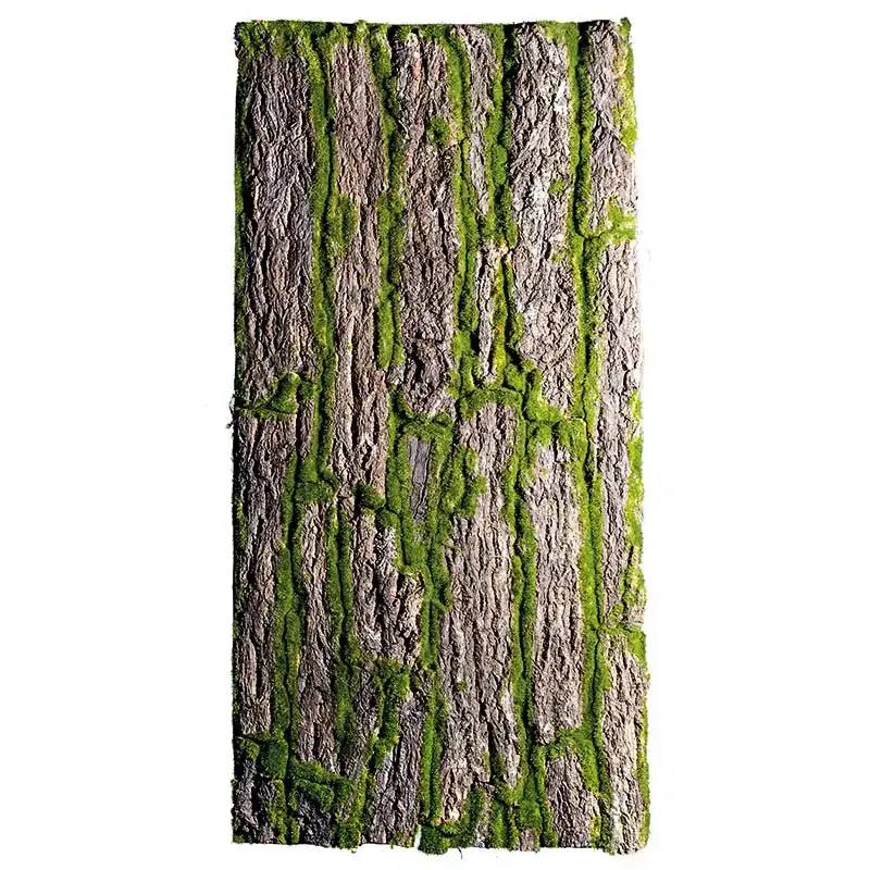 Bark plade med ægten mos